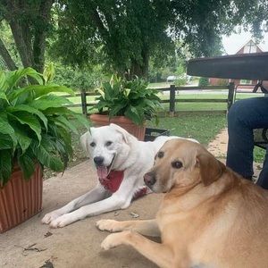 Meet your Posher, Wendy